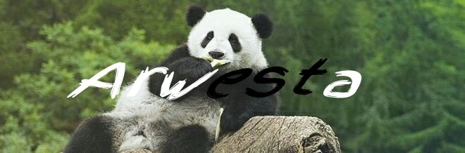 Arwesta banner