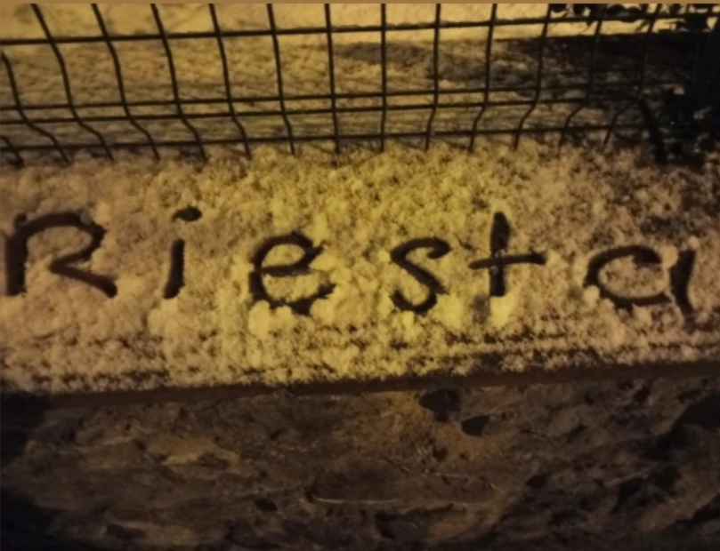 Riesta banner